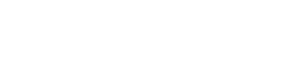 BODOS